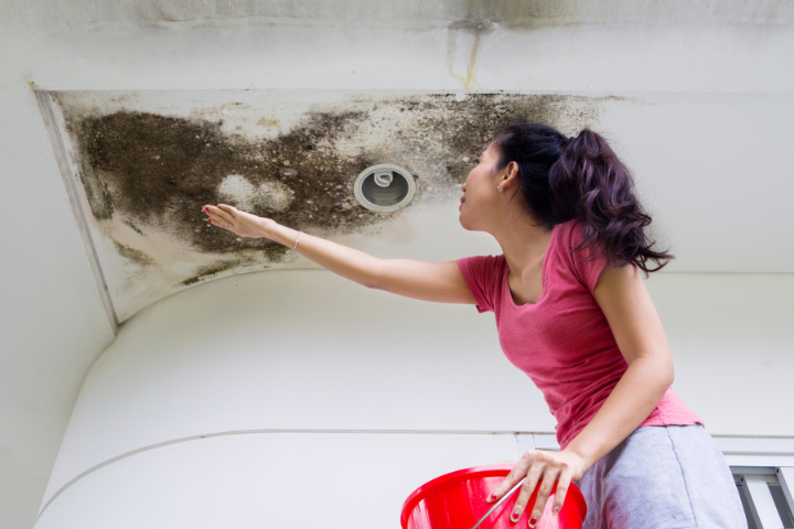Protect Your Roof from Leaks & Damage